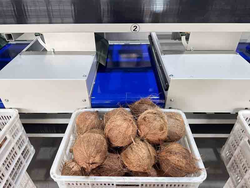 images/1719993684294coconut sorter.jpg